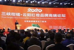 云阳新闻爆料最新消息,最新爆料揭示重大事件进展！