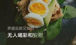 娱乐爆料影视饼,娱乐爆料影视饼背后的故事